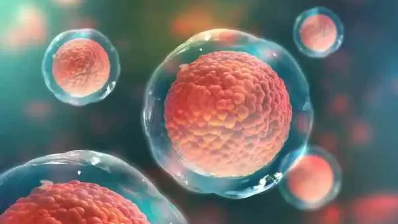 أهم فوائد الخلايا الجذعية