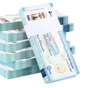 بنوك الإمارات تستقطب 130 مليار درهم «ودائع لأجل» في 10 شهور