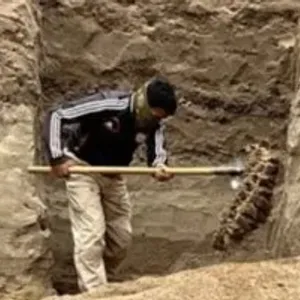 عمال محاجر فى قيرغيزستان يعثرون على عظام ماموث عملاق