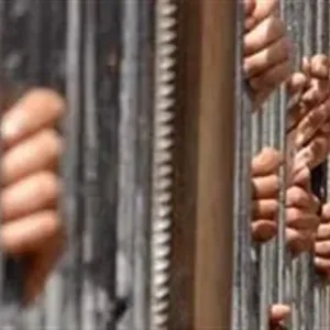 73 لفافة هيروين.. المشدد 6 سنوات للمتهمين بالإتجار في المواد المخدرة بالقليوبية