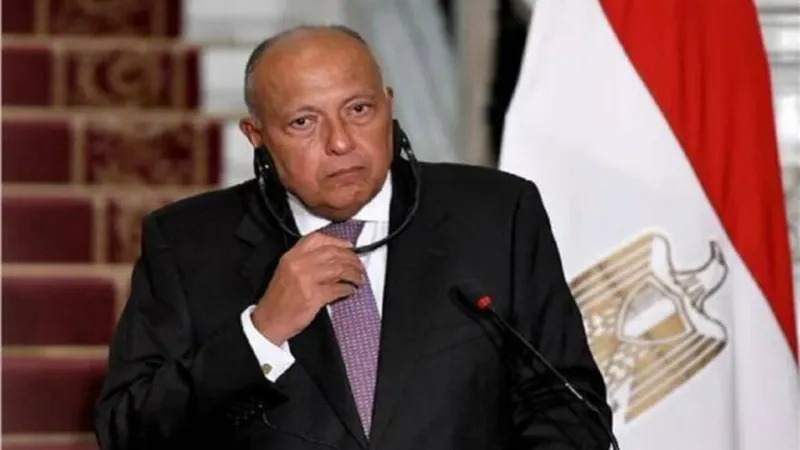 وزير الخارجية يؤكد رفض القاهرة محاولات إسرائيل عرقلة المساعدات إلى غزة