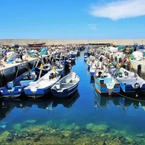 حكومة إسبانيا تراهن على تجديد بروتوكل الصيد البحري بين الرباط وبروكسل