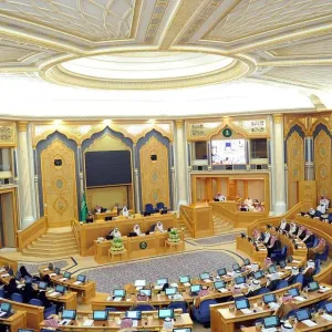 مجلس الشورى يطالب بدراسة إنشاء مطارات بتكلفة منخفضة حول مدينة الرياض