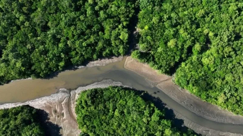 البرازيل واليابان تتفقان على حماية غابات الأمازون المطيرة تعزيز ا لجهود مكافحة تغير المناخ