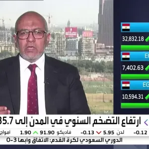 خبير للعربية: تأثيرات متباينة لتعويم الجنيه المصري على أسعار السلع