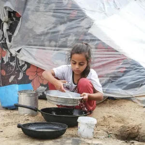 منظمة الأغذية والزراعة للأمم المتحدة لـ«الاتحاد»: سكان غزة يعيشون وضعاً غير إنساني وبحاجة لأساسيات الحياة
