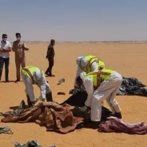 بسبب الحرارة : عشرات المهاجرين يموتون عطشا في صحراء النيجر وليبيا