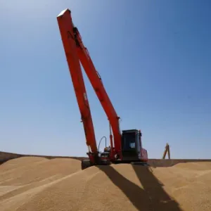 التجارة العراقية: تسويق أكثر من 1.5 مليون من الحنطة