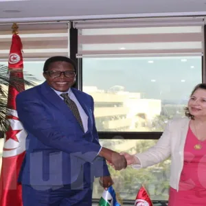 نحو تعزيز التعاون بين تونس ومملكة ليسوتو في مجال الكهرباء