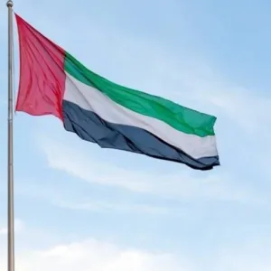 الإمارات تدعو إلى وقف إطلاق النار وإيصال المساعدات الإنسانية إلى غزة
