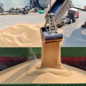 انخفاض الأسعار الدولية ينعش استيراد القمح بالمغرب خلال فصل الصيف