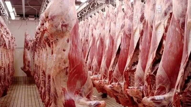 الجزائر تسيطر على أسعار اللحوم الحمراء بمواصلة دعم مُستوردي الماشية