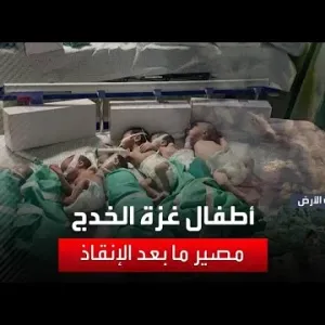 أطفال غزة الخدج .. مصير ما بعد الإنقاذ