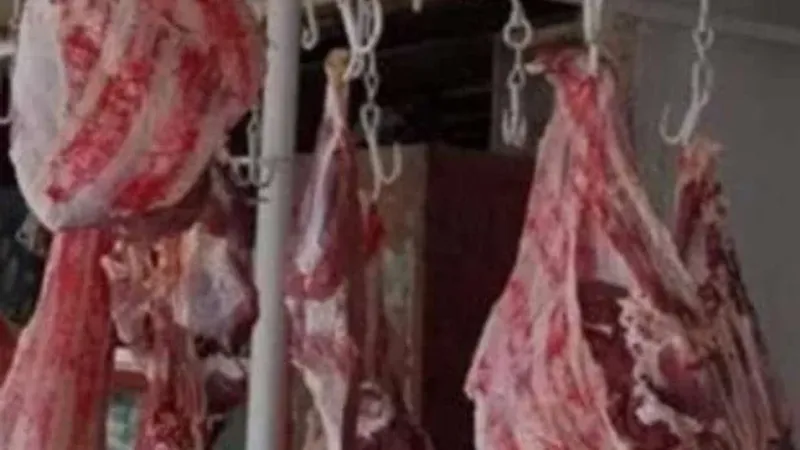 «خليها في الثلاجة».. أكبر حملة لمقاطعة الدواجن واللحوم تبدأ من الجيزة