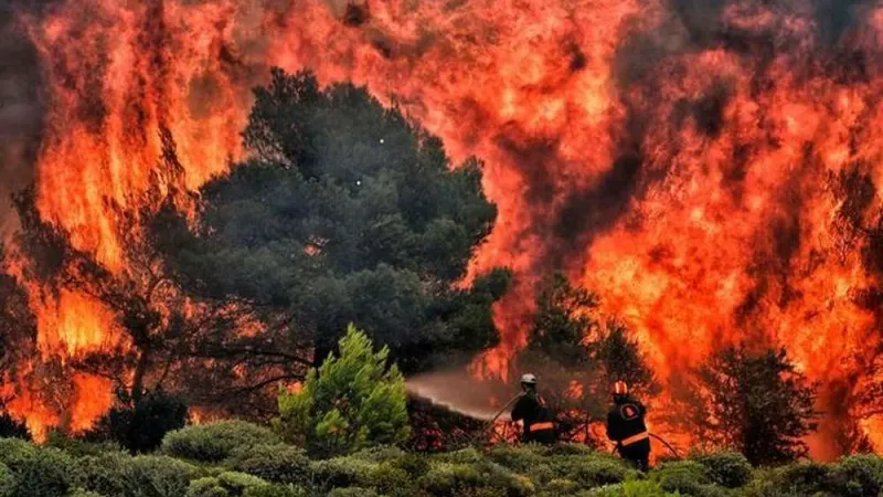 إجلاء أكثر من 5 آلاف شخص بولاية كاليفورنيا إثر حرائق الغابات