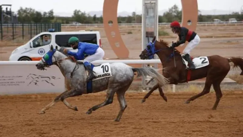 كأسا زايد والشيخة فاطمة للخيول في ضيافة مراكش