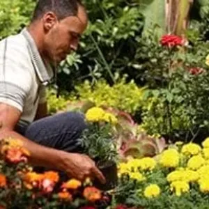 اعرف أفضل الأماكن داخل المنزل بعد شراء النباتات من معرض الزهور