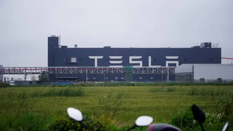 «تيسلا» تخفض إنتاج «واي» في شنغهاي
