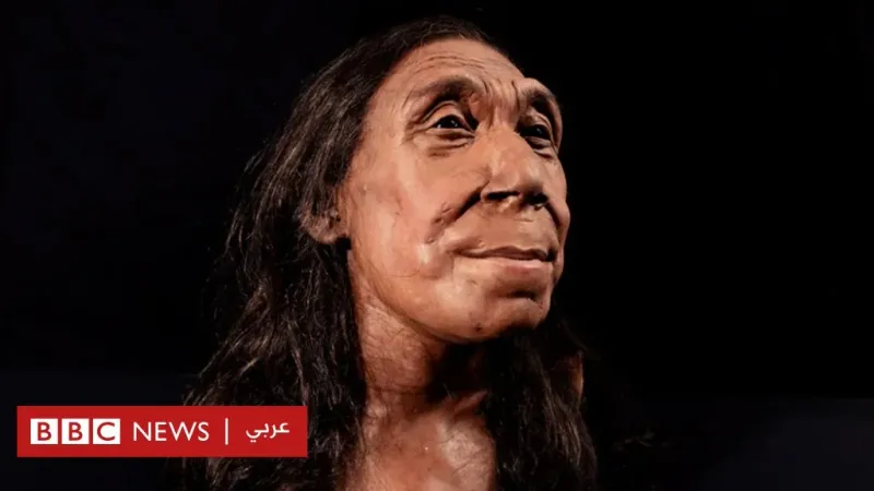 الكشف عن وجه امرأة "نياندرتال" عمرها 75 ألف عام - BBC News عربي