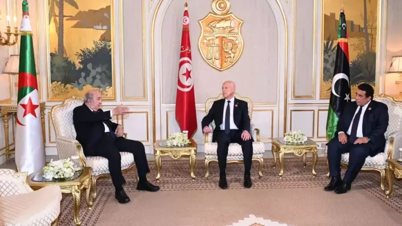 خبراء يقرأون مخرجات الاجتماع التشاوري الثلاثي بتونس