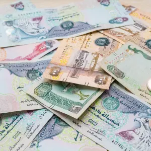 نمو الودائع الادخارية في القطاع المصرفي الإماراتي 14% في فبراير