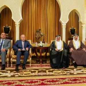 وزير الخارجية يجتمع مع الأمين العام لجامعة الدول العربية