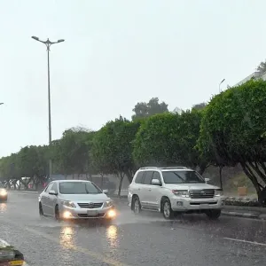 "الأرصاد" ينبه من هطول أمطار متوسطة على منطقة نجران