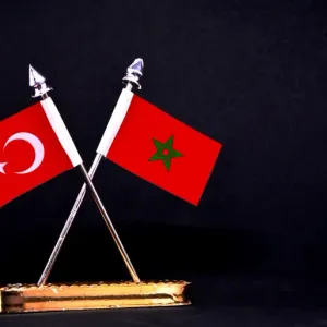 رويترز: المغرب يفرض رسوم مكافحة إغراق على الأفران الكهربائية التركية