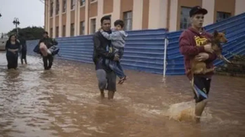 البرازيل: 54 إصابة بمرض البريميات جراء الفيضانات العارمة