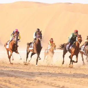 سباق الخيول العربية الأصيلة ينطلق في الظفرة