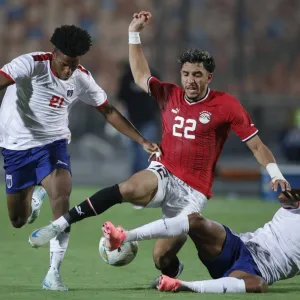 تصفيات أمم أفريقيا: المغرب والجزائر ومصر وتونس لفوز ثانٍ