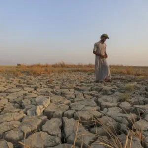 مرصد عراقي يكشف أبرز التحديات البيئية في البلاد