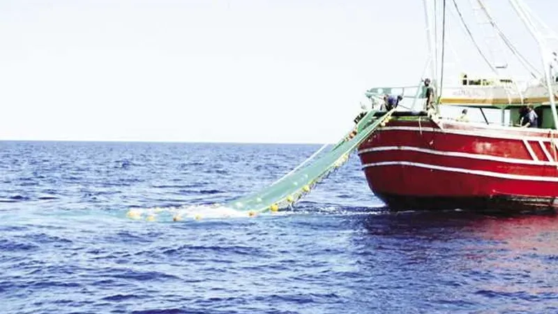 قراران بحظر الصيد ومنع تداول أسماك البحر الأحمر بالمطاعم والأسواق لمدة شهرين ونصف