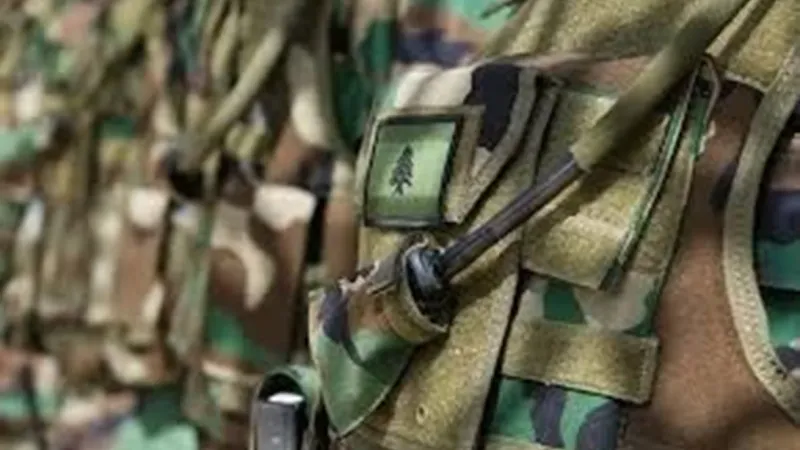 الجيش: عمليات دهم وتوقيف مطلوبين في مناطق عدة