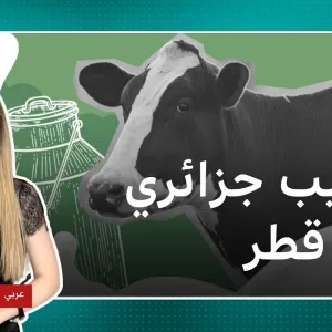 3.5 مليار دولار.. ما تفاصيل الاستثمارات القطرية في الحليب الجزائري؟
