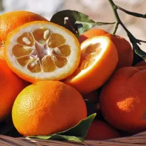 فوائد البرتقال المر وقيمته الغذائية وأضراره