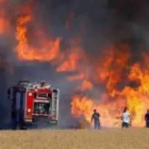 في موسم الحصاد.. الحرائق تأتي على 3 مزارع للحنطة بكركوك