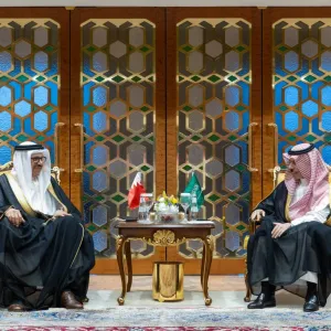 لقاء سعودي - بحريني يبحث تطورات غزة