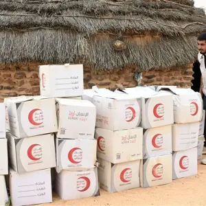 الفريق الإنساني الإماراتي يوزع 6 آلاف سلة رمضانية على السودانيين في تشاد