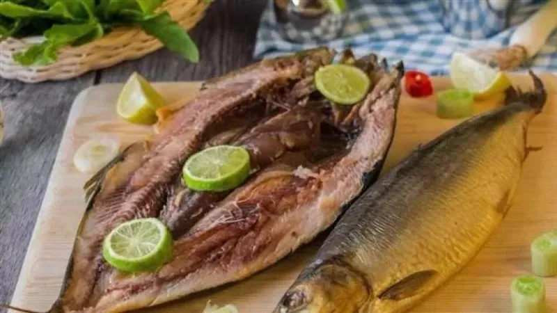 عضو «المصرية للحساسية» يوصي بالإكثار من تناول الأسماك الطازجة: ترفع معدلات الذكاء
