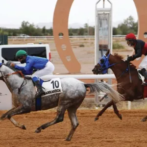 كأسا زايد وفاطمة بنت مبارك للخيول في ضيافة مراكش
