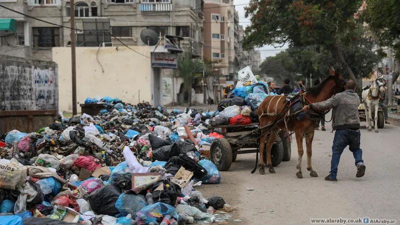 بلدية غزة تحذر من انتشار أمراض خطيرة بفعل القوارض والحشرات الضارة