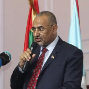 نائب رئيس المجلس الرئاسي اليمني: الضربات الأمريكية ضد الحوثيين غير كافية