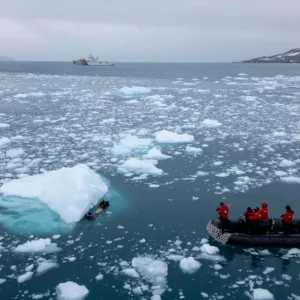 سمّاعات في مياه أنتاركتيكا ترصد أصوات الكائنات البحريّة لفهم سلوكها وتحركاتها