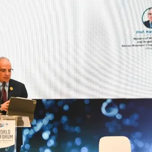 وزير الري: الاعتماد على تحلية المياه لمواجهة تحديات مصر المائية
