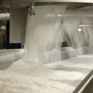 مصر.. "السكر للصناعات التكاملية" تستلم 500 ألف طن من السكر الخام 20 مايو لتكريره