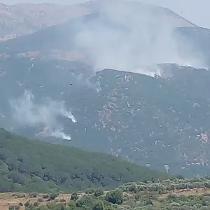 جبهة الجنوب مشتعلة... إصابة 11 إسرائيليّاً بهجوم جويّ لـ"حزب الله" في مستوطنة حرفيش (فيديو)