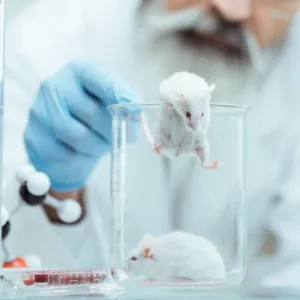 هل تتمرد فئران التجارب على الاختبارات العلمية؟