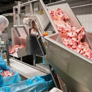 أبوظبي تسعى لتعزيز ريادة مجال إنتاج اللحوم المصنعة بالتعاون مع "بيليفر ميتس"