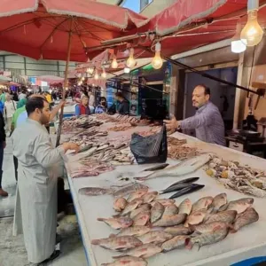 "سوق أسماك بورسعيد": قلة المعروض وراء ارتفاع الأسعار.. والمقاطعة نجحت